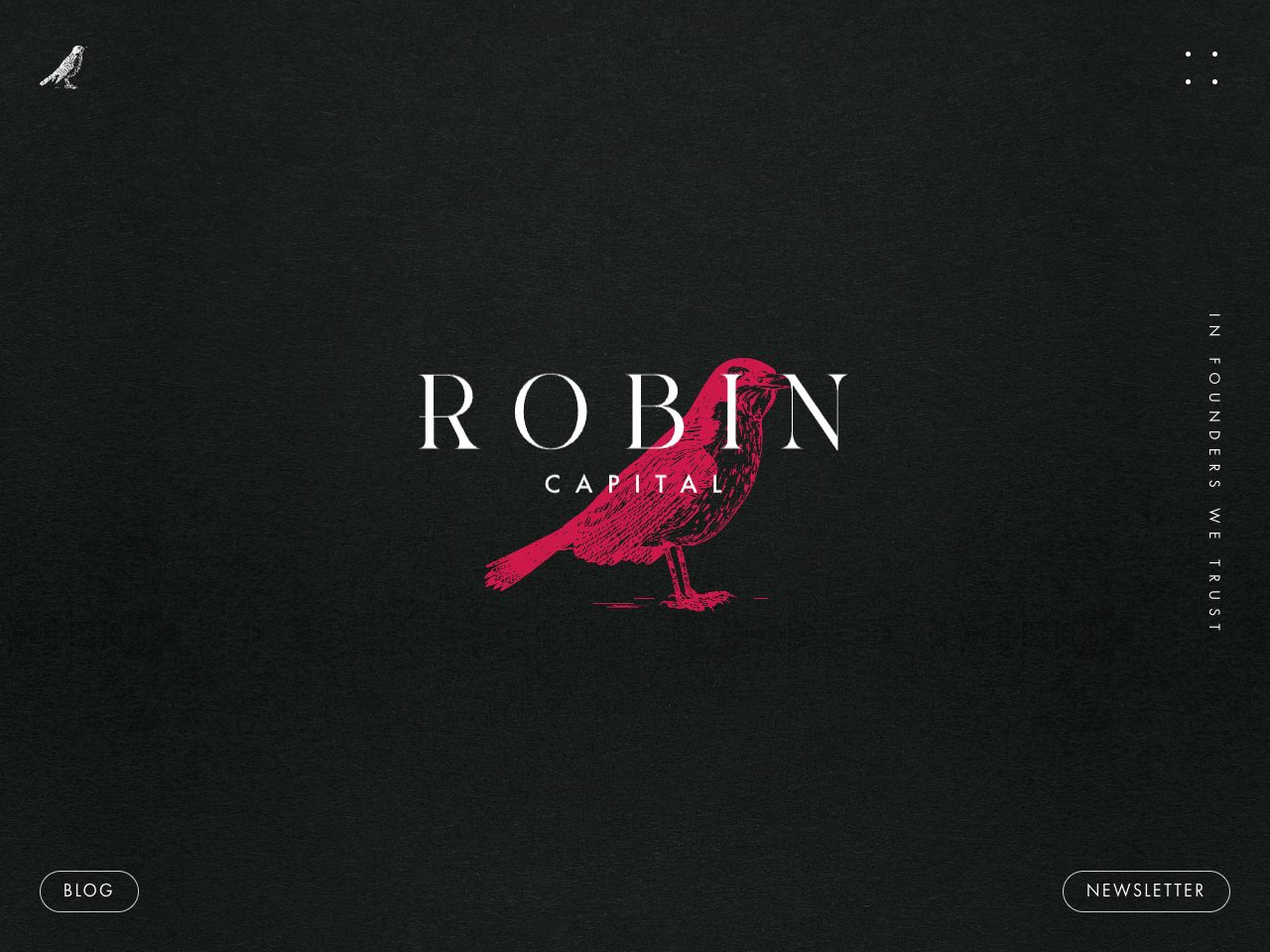 Homepage screenshot of Robin Capital