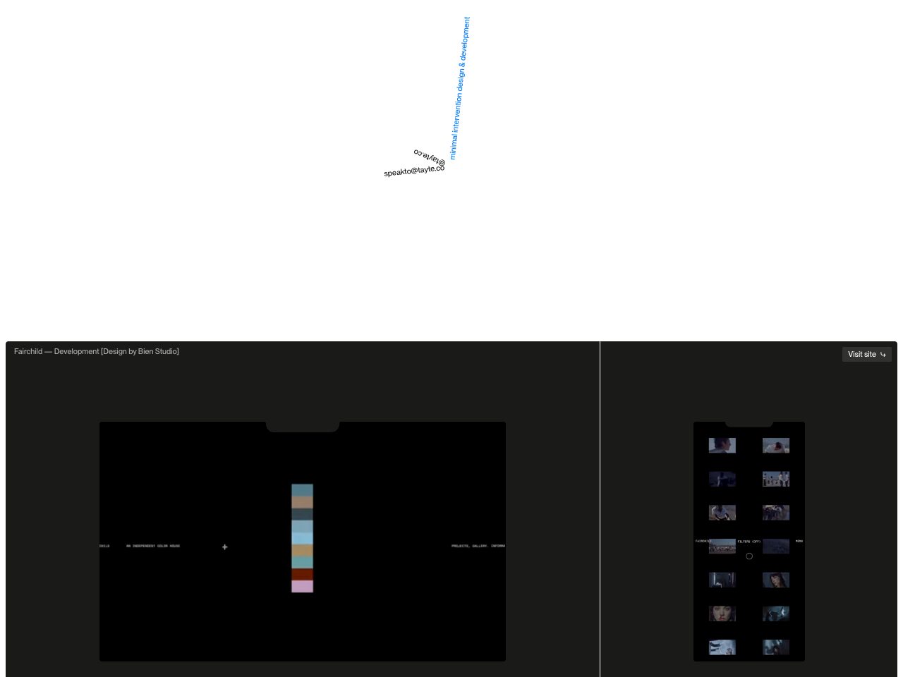 Homepage screenshot of Tayte